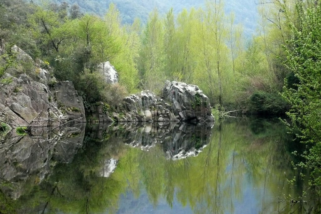 _2531135029.jpg