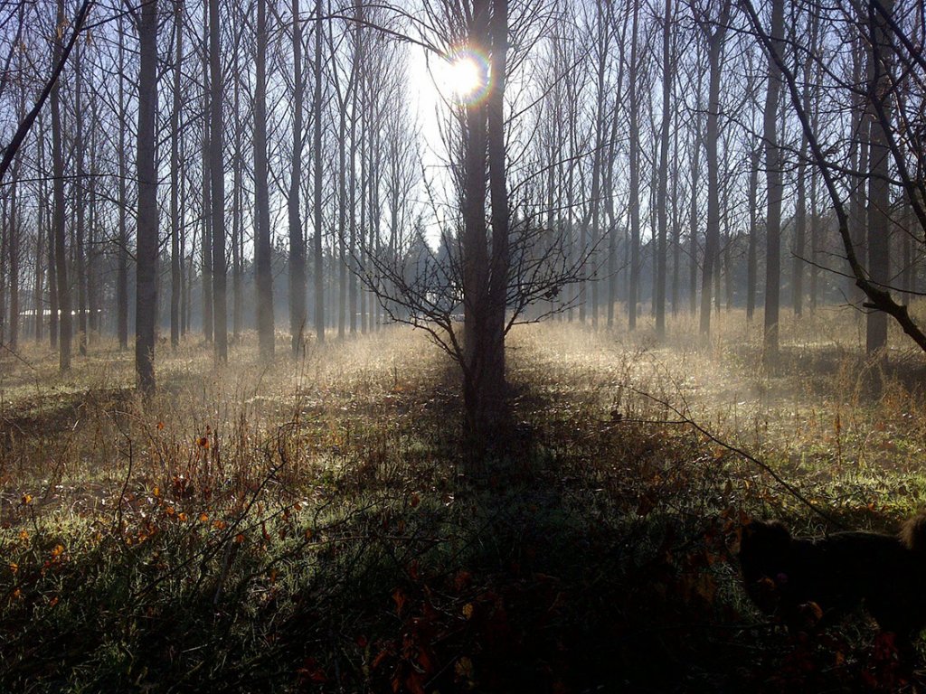 _3272617974.jpg